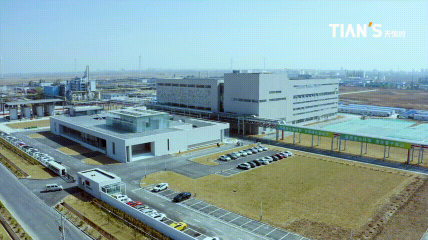 新葡的京集团350vip8888(中国)有限公司官网