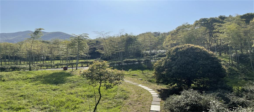 新葡的京集团350vip8888(中国)有限公司官网